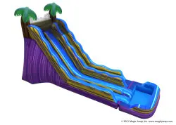 20' Tropical Blast Dual Lane Slide - Jumptastic