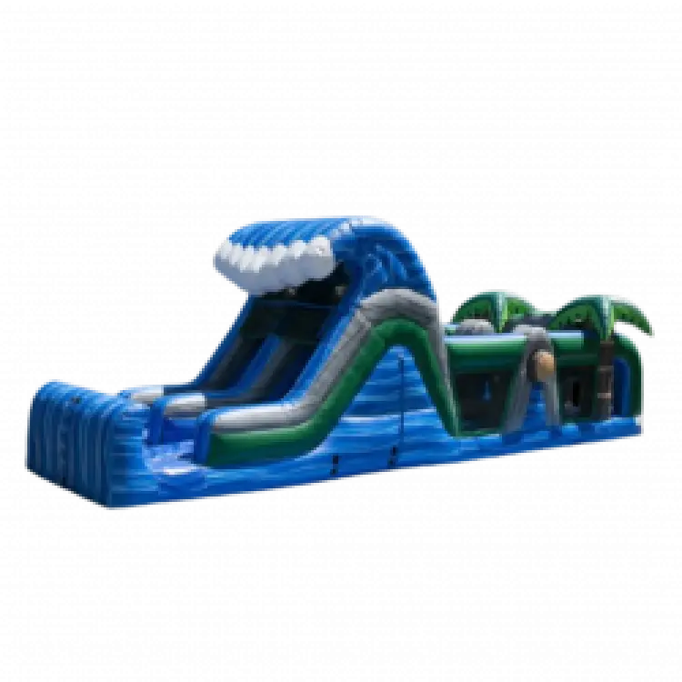 Blue Nile Obstacle Course with Dual Slide